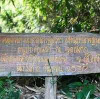 กางเต็นท์ ณ ความสูง 1200m จากระดับน้ำทะเล 🏕️ 