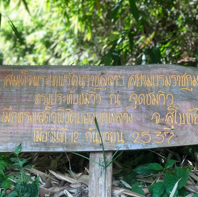 กางเต็นท์ ณ ความสูง 1200m จากระดับน้ำทะเล 🏕️ 