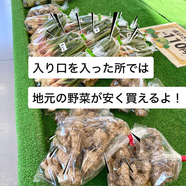 知多半島の旅　観光農園「花ひろば」