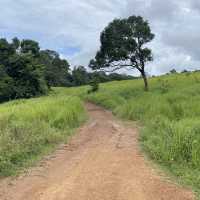 อุทยานแห่งชาติเขาใหญ่ | KHAO YAI National Park 