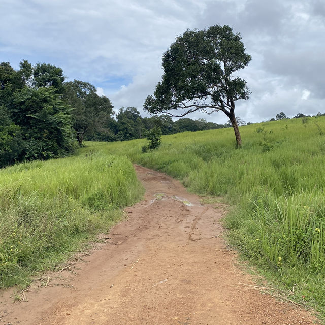 อุทยานแห่งชาติเขาใหญ่ | KHAO YAI National Park 
