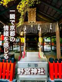 【京都府】一瞬で京都の情緒を感じる神社