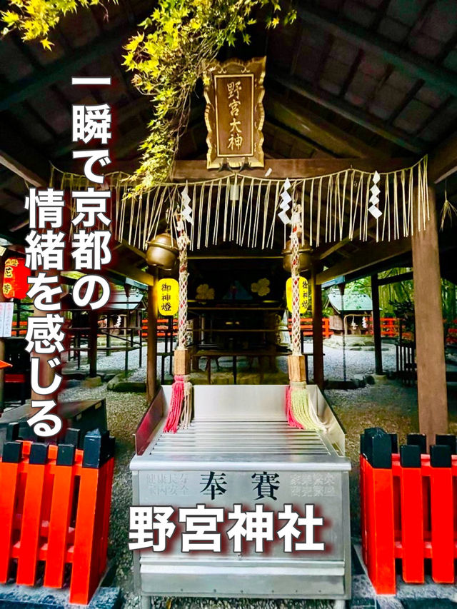 【京都府】一瞬で京都の情緒を感じる神社