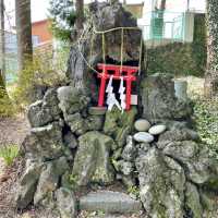 【山梨県】美しい白い毛並みの「旺輝」が可愛い