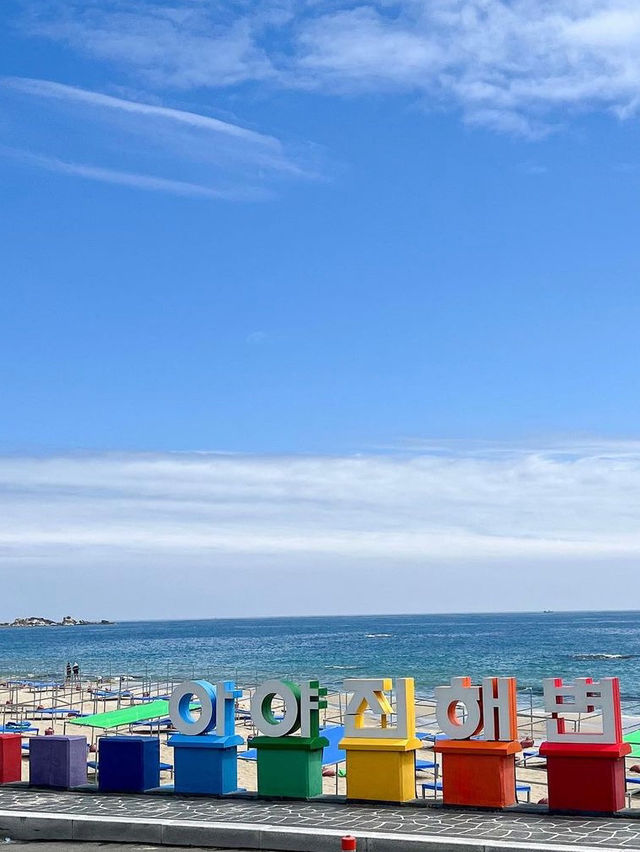 해외 뺨치게 예쁜 강원도 오션뷰 숙소🩵