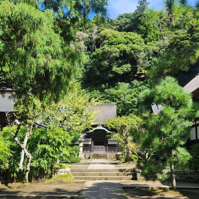 光明寺：清幽靜謐⛩️🌿