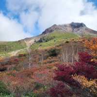 🦜華蓋山🍄‍🟫秋色自然的魔力！🍂⛰️