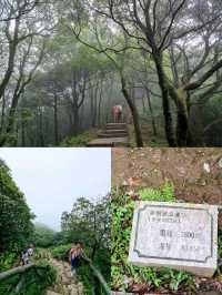 🇨🇳 Wutong Mountain Hike via Bitong Trail