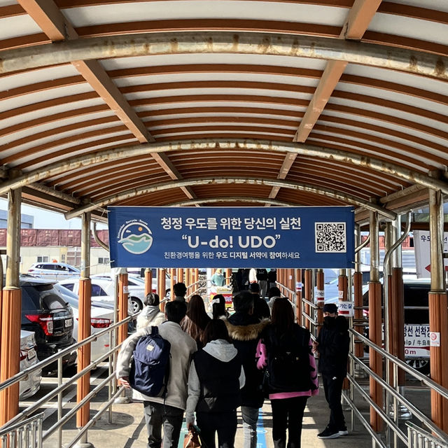 🇰🇷韓國濟州島-牛島 우도
