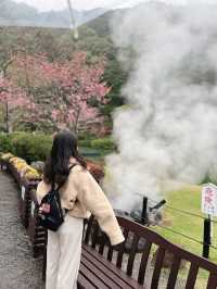 日本🇯🇵 別府｜地獄溫泉🌋只去海地獄便值回票價？！♨️