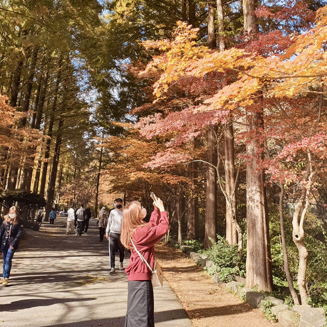 Jangtaesan Natural Recreation Forest – Stunning in Autumn 🍂
