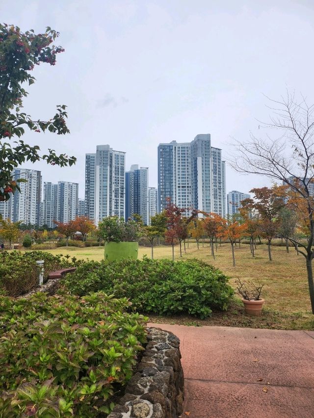 가을가을한 단풍 맛집 인천서구 청라 호수공원🌿