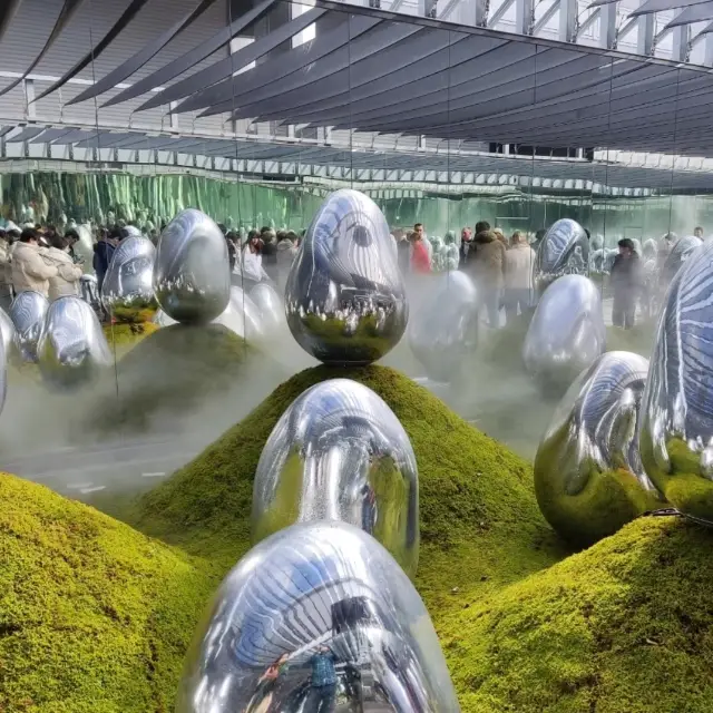 Tokyo Toyosu teamLab: A New Art Experience, Exploring a Feast for the Senses