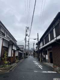 NARA🦌 in One Day: Where History and Nature Embrace