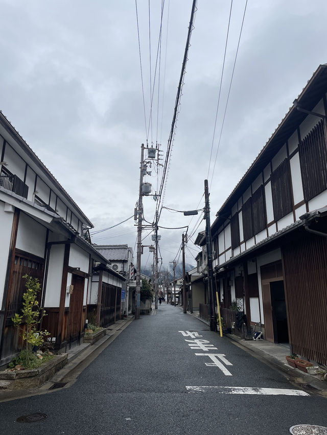 NARA🦌 in One Day: Where History and Nature Embrace