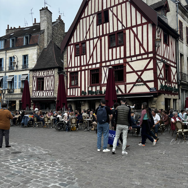 Dijon France. Famous for its vineyards and night bars 