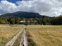 【尾瀬🏔️】日本最大の山岳湿地！
