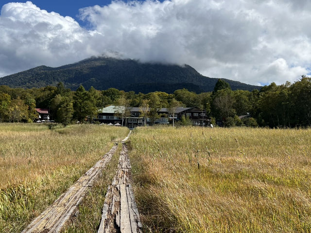 【尾瀬🏔️】日本最大の山岳湿地！