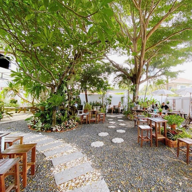 Bellis cafe ~ ร้านกาแฟในสวน