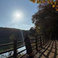 [포천] 고모리 산정호수공원에서 가을 산책🍁