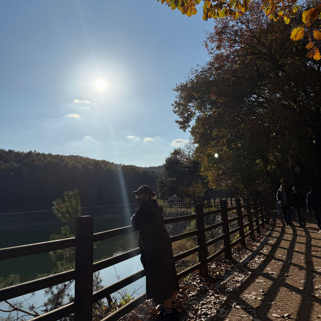 [포천] 고모리 산정호수공원에서 가을 산책🍁
