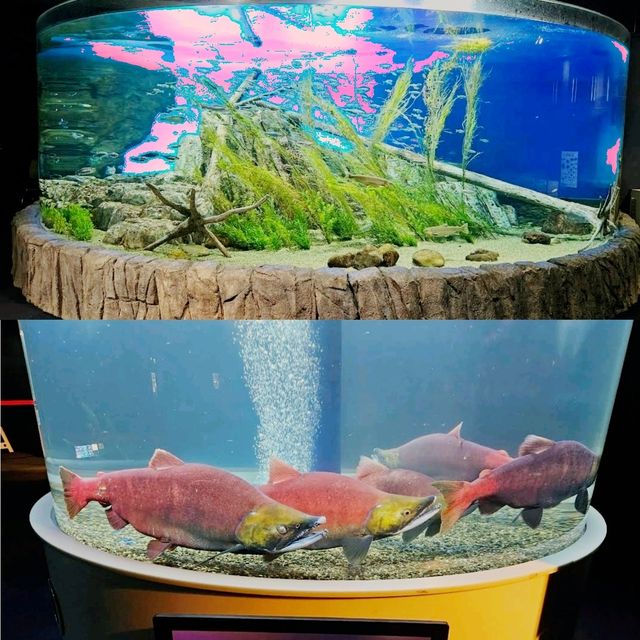 北海道好去處
