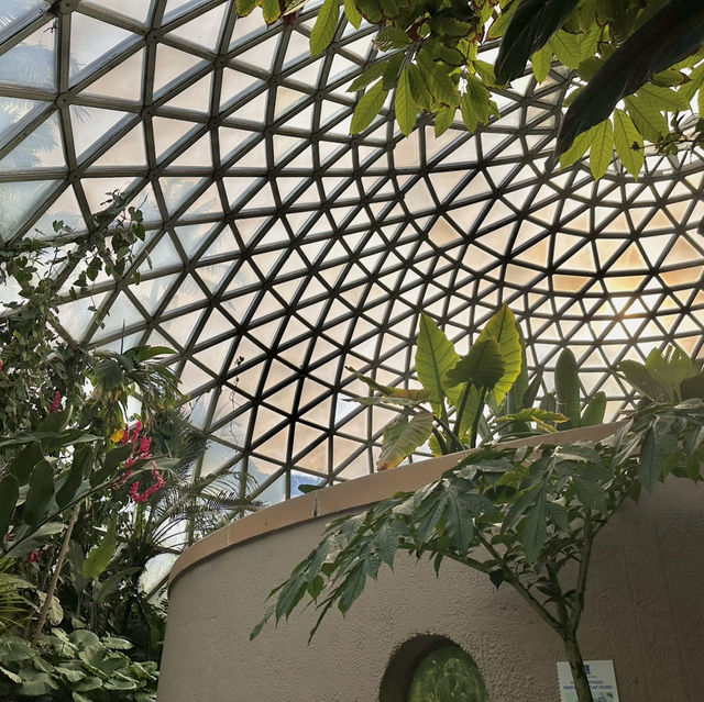 布里斯班最具特色亞熱帶植物館🌻🌺🌸