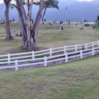 แลนด์มาร์คใหม่ สวนอบจ.เชียงใหม่🌳