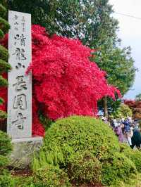 📍長野　真っ赤な紅葉が見られる長円寺
