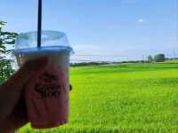 คาเฟ่สไตล์มินิมอล กลางทุ่งนาสิงห์บุรี