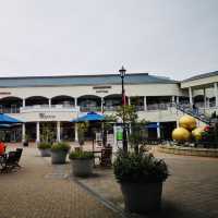 Shopping Spree & Scenic Charm at Rinku Premium Outlets!
