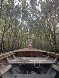 Serene River Cruise in Krabi Town! Exploring Caves and Mangrove Swamps