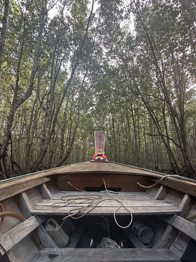 Serene River Cruise in Krabi Town! Exploring Caves and Mangrove Swamps