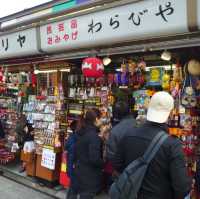 Souvenir Hunting on Nakamise Street!