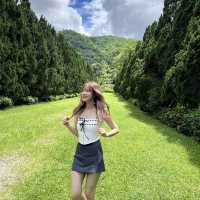 คาเฟ่ป่าสน ในเชียงใหม่