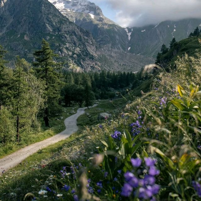 Mount Blanc