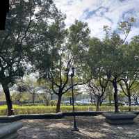 Discover the scenic YangMingShan national park