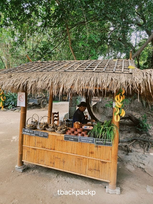 หมู่บ้านช้างพัทยา กิจกรรมแน่น ถูกใจทุกวัยแน่นอน🐘
