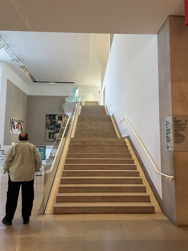 ［達拉斯旅遊］The Dallas Museum of Art-不能錯過的博物館🖼️