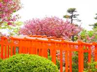 【青森県】まるで極楽浄土！高山稲荷神社の千本鳥居