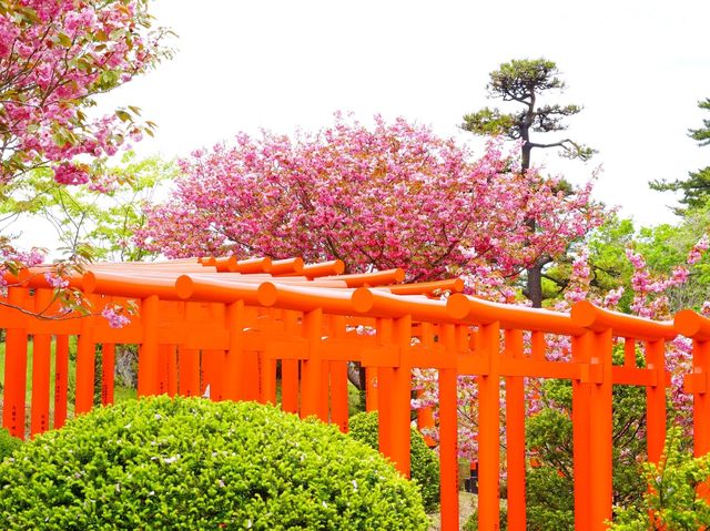 【青森県】まるで極楽浄土！高山稲荷神社の千本鳥居