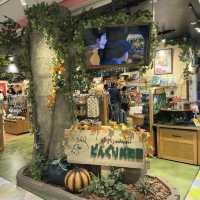 Canal City Chronicles: Where Shopping Meets Serenity in Hakata!