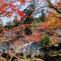 【滋賀紅葉】紫式部ゆかりの花の寺 石山寺紅葉