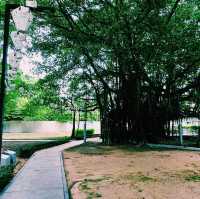 馬來西亞檳城喬治城著名城市古跡綠洲公園景點:Prangin (SiaBoey) Park Georgetown，適合打卡拍照📸親子遊