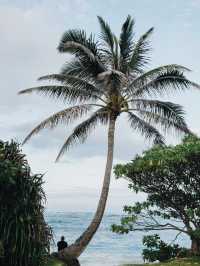 Escape to Paradise: A Dream Holiday on Oahu Island