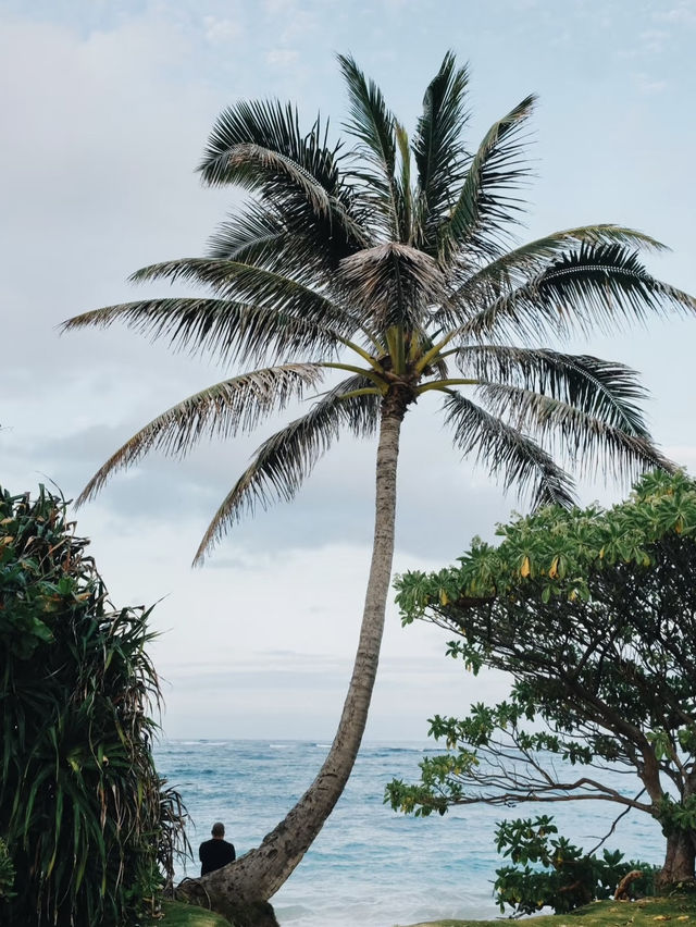 Escape to Paradise: A Dream Holiday on Oahu Island