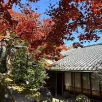 箱根美術館