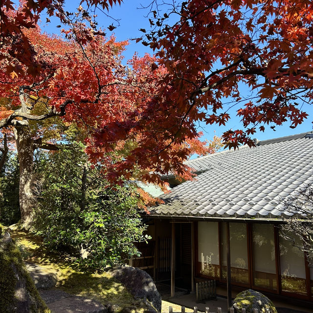 箱根美術館