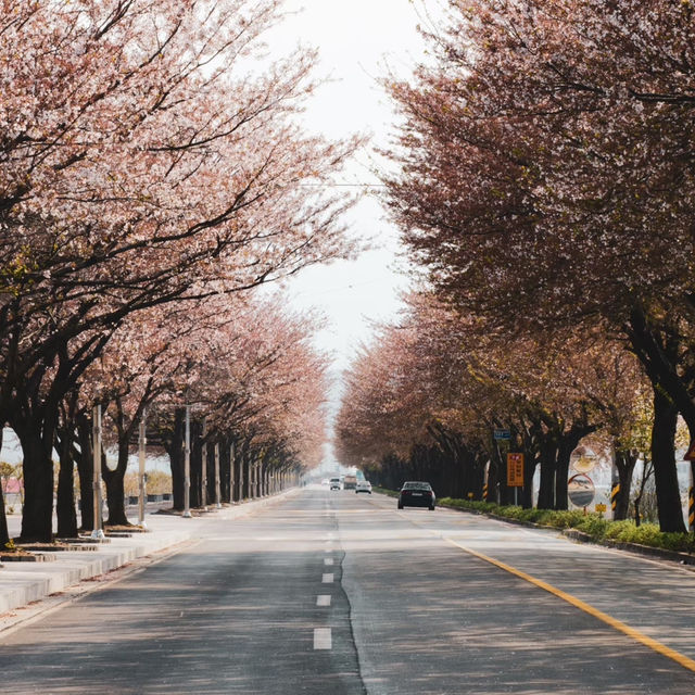 萬壽台噴水公園：平壤的地標性戶外景點