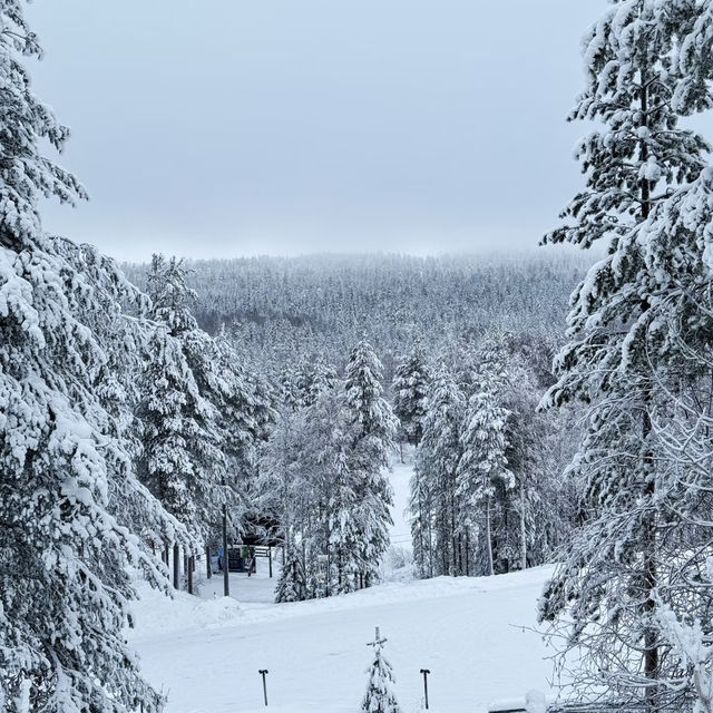 Lapland’s Hidden Gem: A Dreamlike Escape at Arctic TreeHouse Hotel